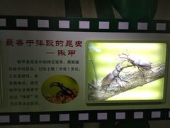 -上海昆虫博物馆