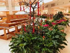 -厦门市图书馆(集美新城馆区)