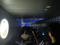 -白鹤梁水下博物馆