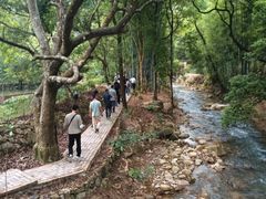 -世间香境·七溪地