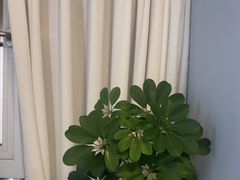 -修申骨雕小颜脊柱骨盆管理产后修复
