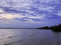 -宝安西湾红树林湿地公园