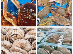 -南沙十九涌渔人码头-南门