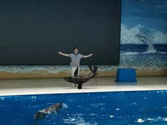 -锦艺城海洋馆