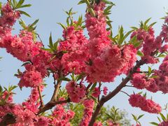 -元大都城垣遗址公园