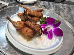 -鸽鸟轩(石岐店)