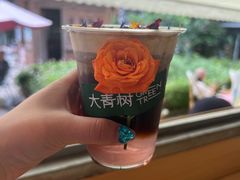 -大青树咖啡(大理古城店)