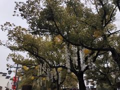 -安亭老街