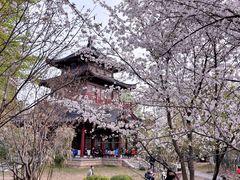 -堤角公园
