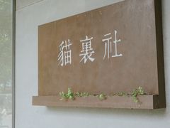 -猫里有甜