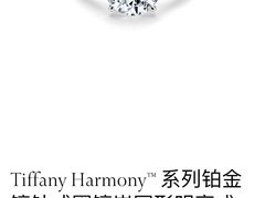 -Tiffany & Co.蒂芙尼
(广州太古汇店)
