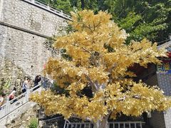 -九鼎铁刹山风景区