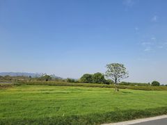 -良渚古城遗址公园