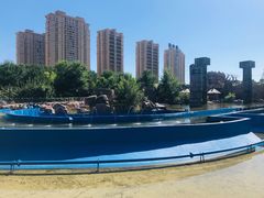 游乐设施-沈阳方特欢乐世界