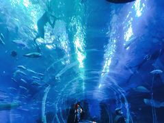 -成都浩海立方海洋公园