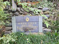 -张家港金凤凰度假村温泉