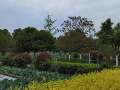 -洪湖家庭农场·团建·露营·会议