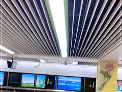 -杨柳河(地铁站)