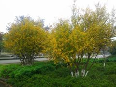 -江南大学(蠡湖校区)