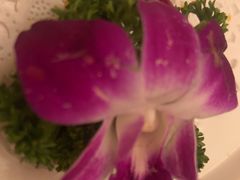 -外沙疍家棚酒楼