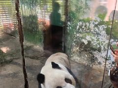 -柳州市动物园