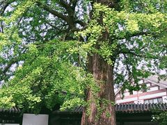 -常熟方塔园
