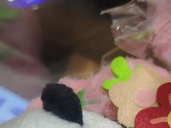 -川西坝子火锅(金沙1.0直营店)