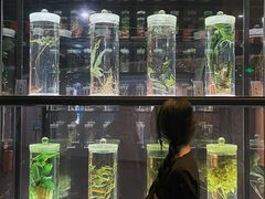 -广东中医药博物馆