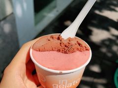 -Dip in Gelato(富民路店)