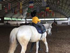 -月河湾马术俱乐部(朝阳店)