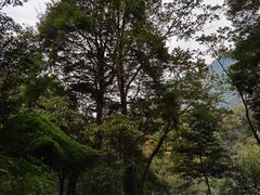 -青城山