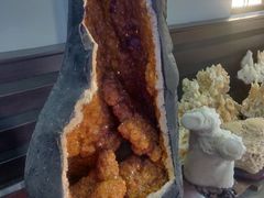 -游龙石文化科普馆