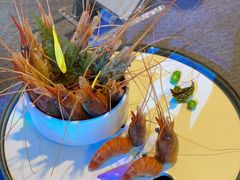 -钱塘秋荷(开鲁路店)