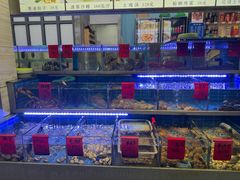 -金海湾海鲜排档(朱家尖店)
