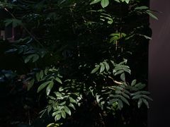 -南岗山公园