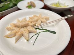 -丁老爷子苏香圆