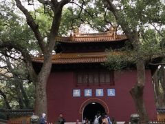 -普陀山风景名胜区-法雨禅寺