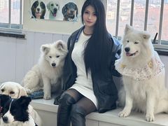 -汪说·狗咖·拼豆·宠物周边DIY(旺城大厦店)
