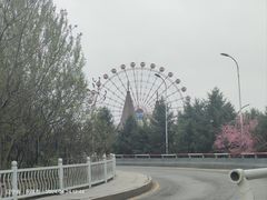 -皇家海洋乐园