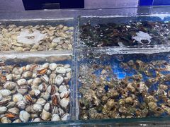 -亚马逊海鲜自助(梅溪湖步步高店)