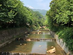 -广州白江湖森林公园