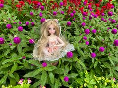 -中国科学院华南植物园