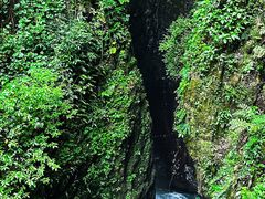 -鹿院坪生态旅游景区