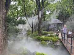 -熙古里艺术村
