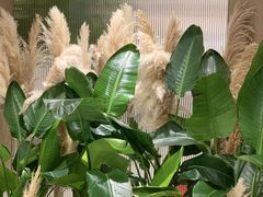 -美华丁香门诊部·全科·妇儿·口眼