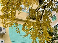 -四川大学(望江校区)