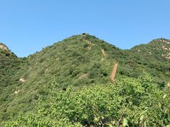 -大岭沟猕猴桃谷风景区