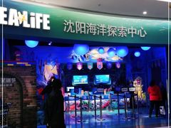 -沈阳海洋探索中心