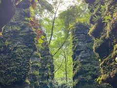 -梭布垭石林景区