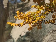 -崂山巨峰游览区